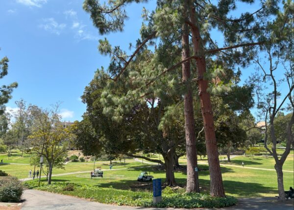 UC Irvine