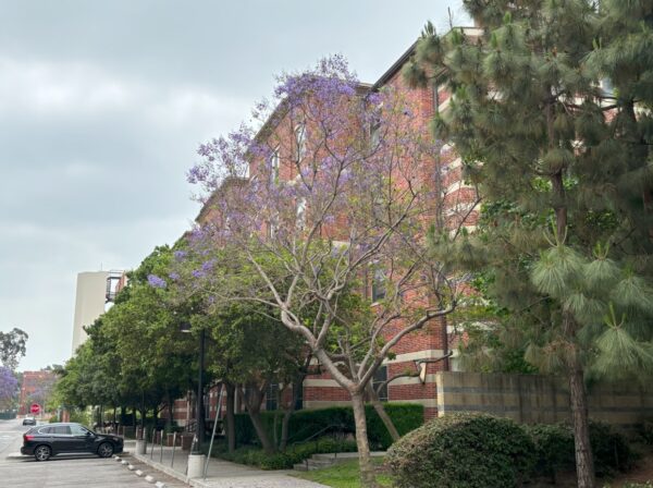 USC Marshall